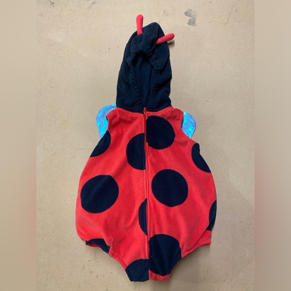 18mo old Ladybug costume